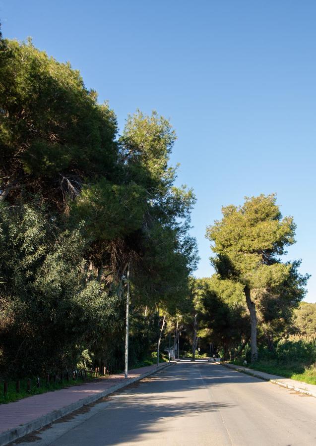 Open View Pinetree Penthouse Daire Campoamor Dış mekan fotoğraf